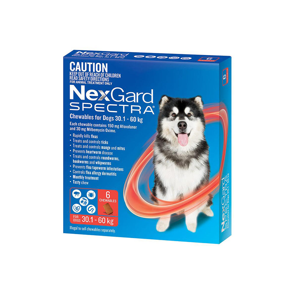 NEXGARD SPECTRA Flea and Worming Dog Chewables (30.1-60kg) 6pcs