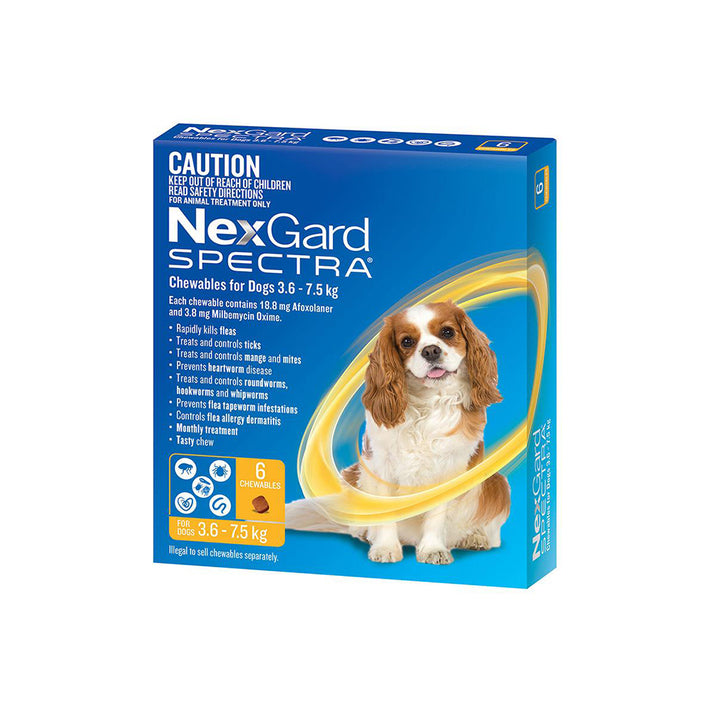 NEXGARD SPECTRA Flea and Worming Dog Chewables (3.67.5kg) Petso Au