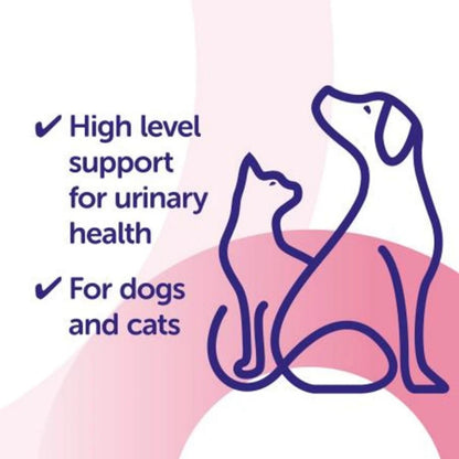 Protexin CystoPro urinary and gut health product information graphic