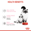 ROYAL CANIN Mother & Babycat 12 x 195G
