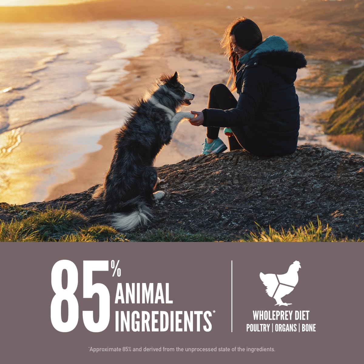 ORIJEN Fit & Trim Biologically Appropriate Dry Dog Food