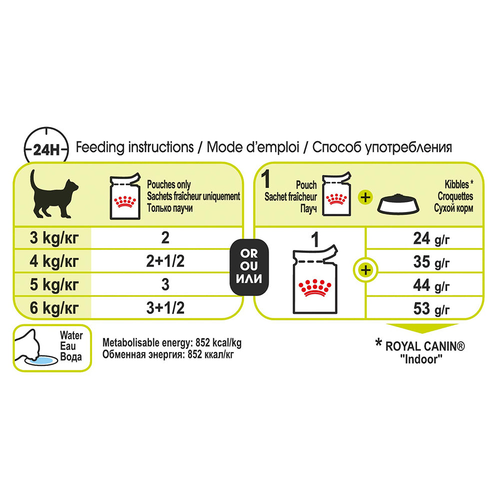 ROYAL CANIN Sensory Smell Gravy Adult Wet Cat Food 85g x 12
