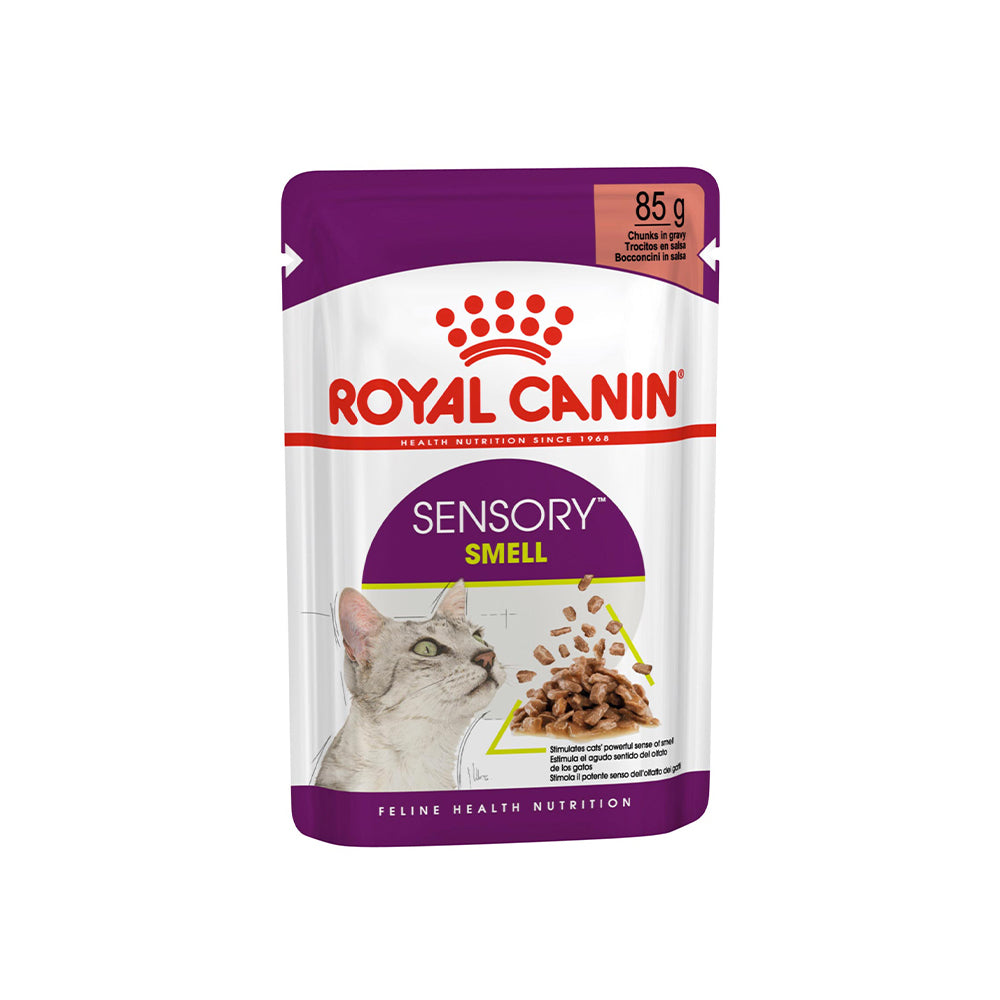 ROYAL CANIN Sensory Smell Gravy Adult Wet Cat Food 85g x 12