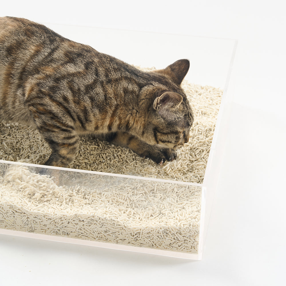 PIDAN Composite Cat Litter - 7L/3.6Kg(Tofu Litter 60%+Bentonite Clay 30%+Starch Litter 10%)