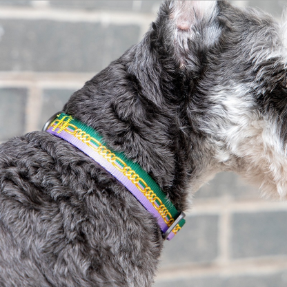 PIDAN S2 Dog Collar