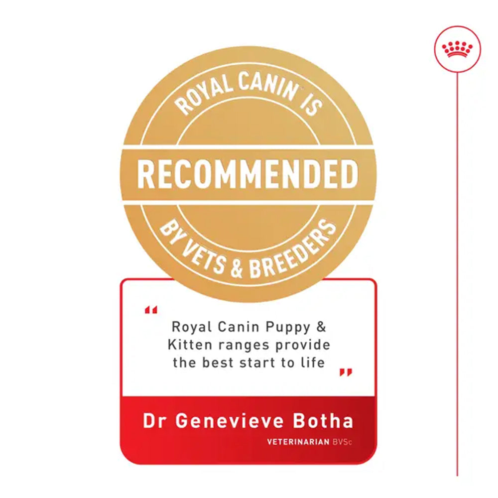 ROYAL CANIN Sterilised Kitten Gravy Wet Cat Food product image