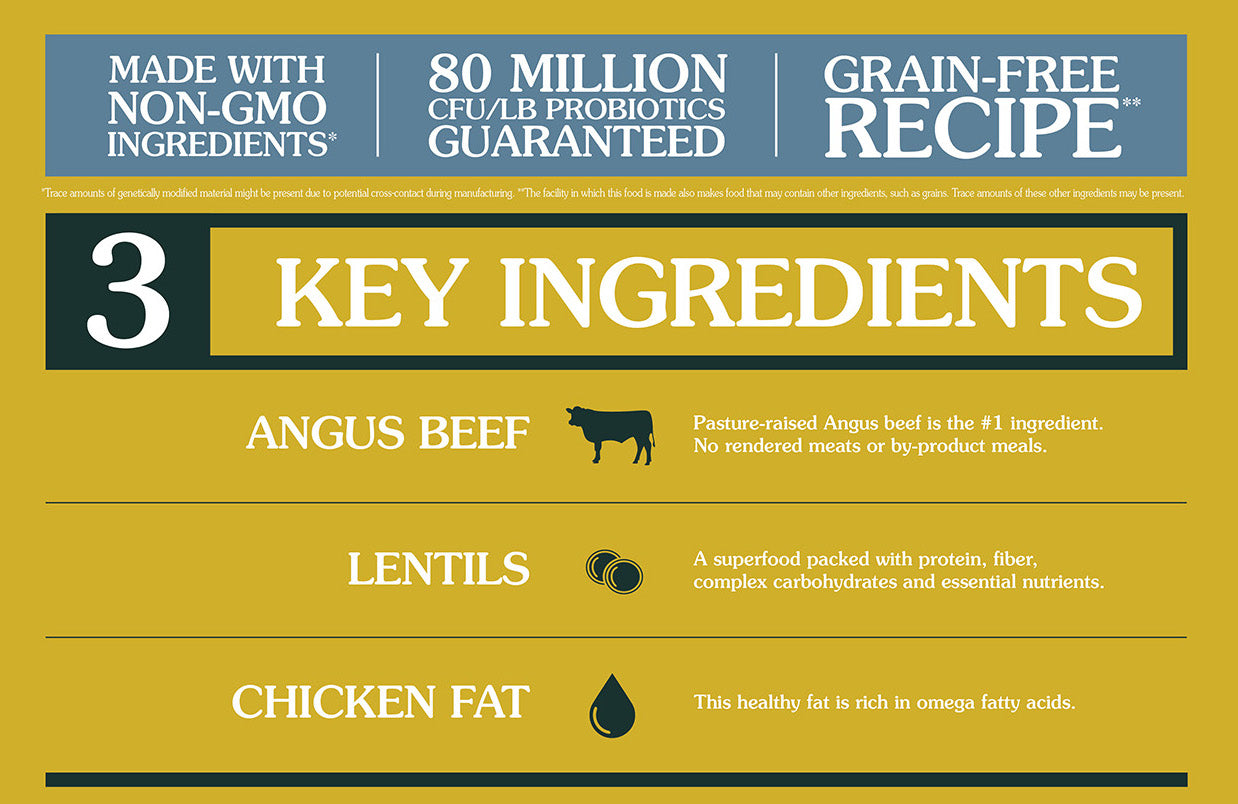 TASTE OF THE WILD Prey Angus Beef Grain Free Dry Cat Food