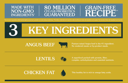 TASTE OF THE WILD Prey Angus Beef Grain Free Dry Cat Food
