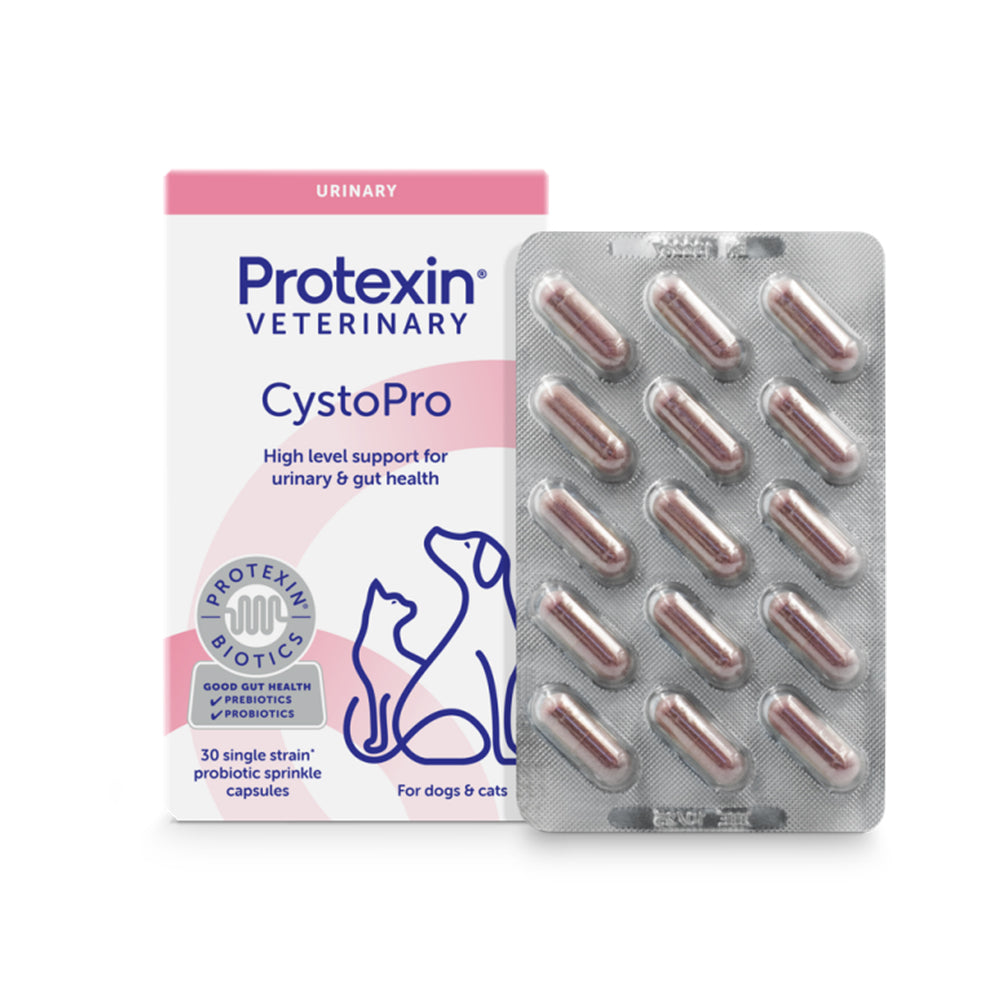Protexin CystoPro urinary supplement box and capsules