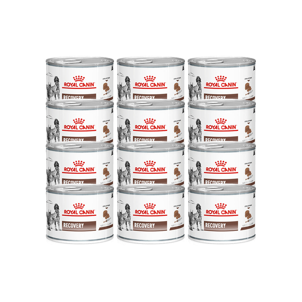Royal Canin Veterinary Recovery Wet Dog & Cat Food 195g — 9003579013243 variant white-background front packshot