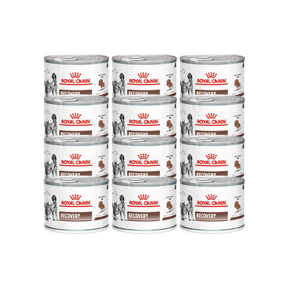 Royal Canin Veterinary Recovery Wet Dog & Cat Food 195g — 9003579013243 variant white-background front packshot
