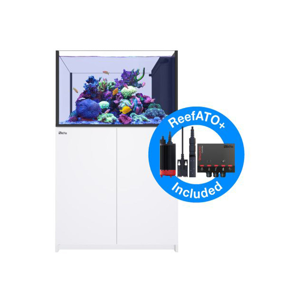 RED SEA Reefer Peninsula 350 G2+