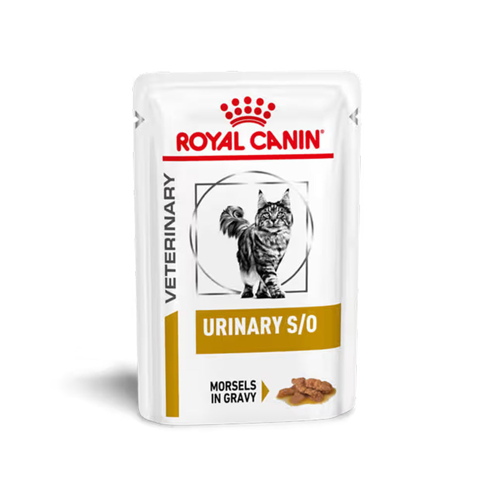 Royal Canin Veterinary Urinary S/O Wet Cat Food 85g — 9003579010051 variant white-background front packshot