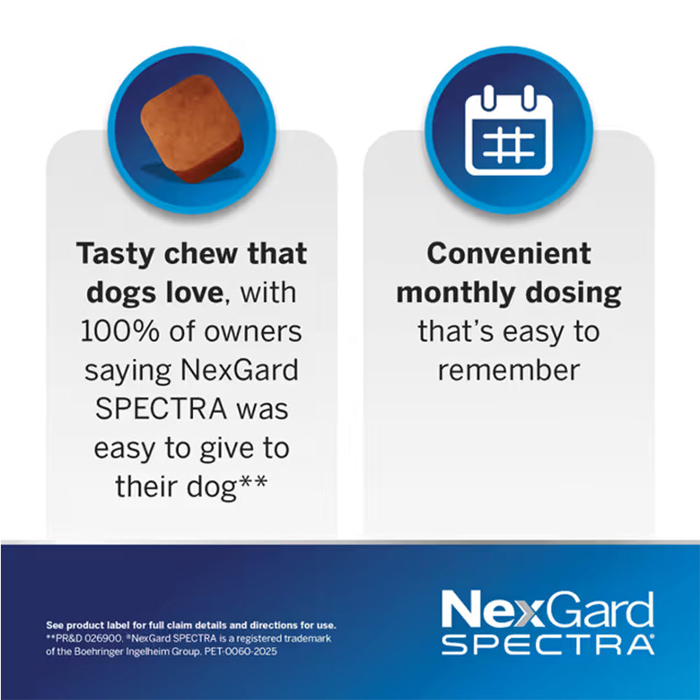 NexGard Spectra tasty chew and monthly dosing graphic