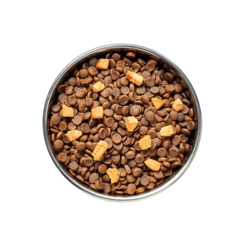 PURE LIFE Natural Boost Salmon Adult Dry Dog Food 8kg