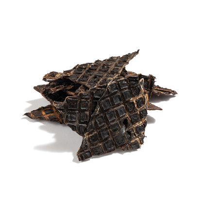 THE PET PROJECT Beef Liver Dog Treats 100G