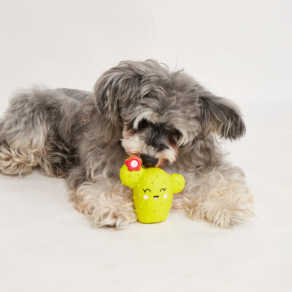 FOFOS Summer Latex Squeaky Dog Toy 3pcs