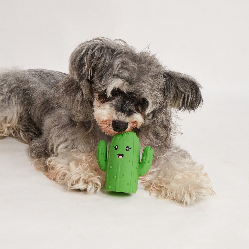 FOFOS Summer Latex Squeaky Dog Toy 3pcs