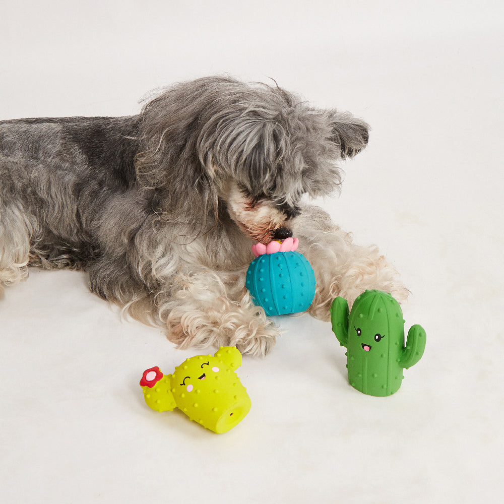 FOFOS Summer Latex Squeaky Dog Toy 3pcs