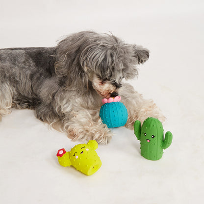 FOFOS Summer Latex Squeaky Dog Toy 3pcs