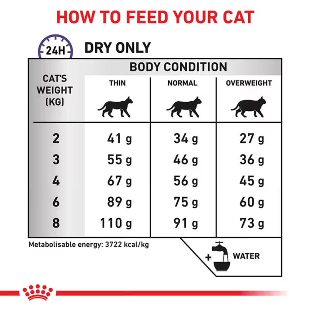 Royal Canin Veterinary Dental Dry Cat Food 1.5kg — product information image