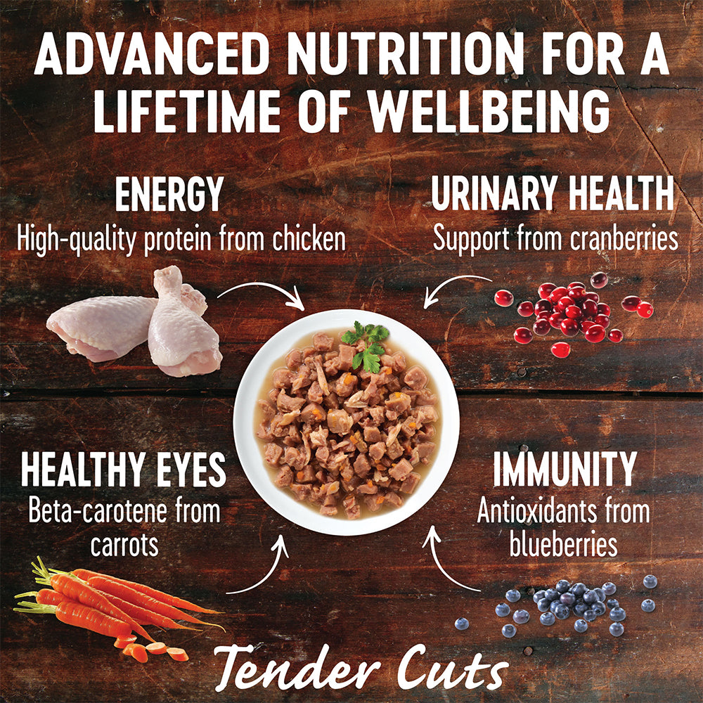WELLNESS Core Tender Cuts With Chicken & Chicken Liver in Savoury Gravy Wet Cat Food 85g x 8