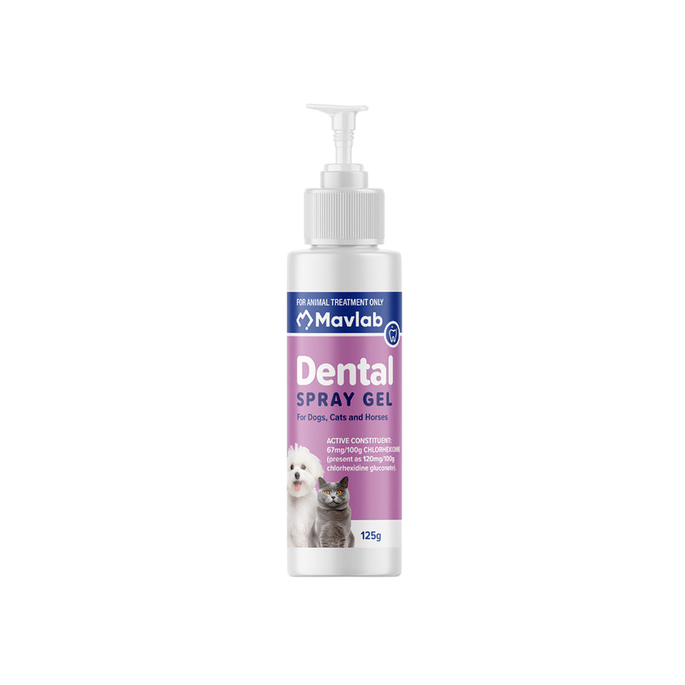 MAVLAB Dental Spray Gel For Dogs & Cats 125g | Petso