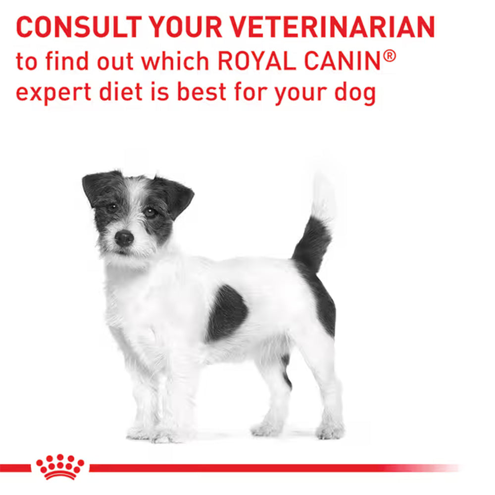 Royal Canin Dental Small Breed Adult Dry Dog Food 3.5kg — product information image
