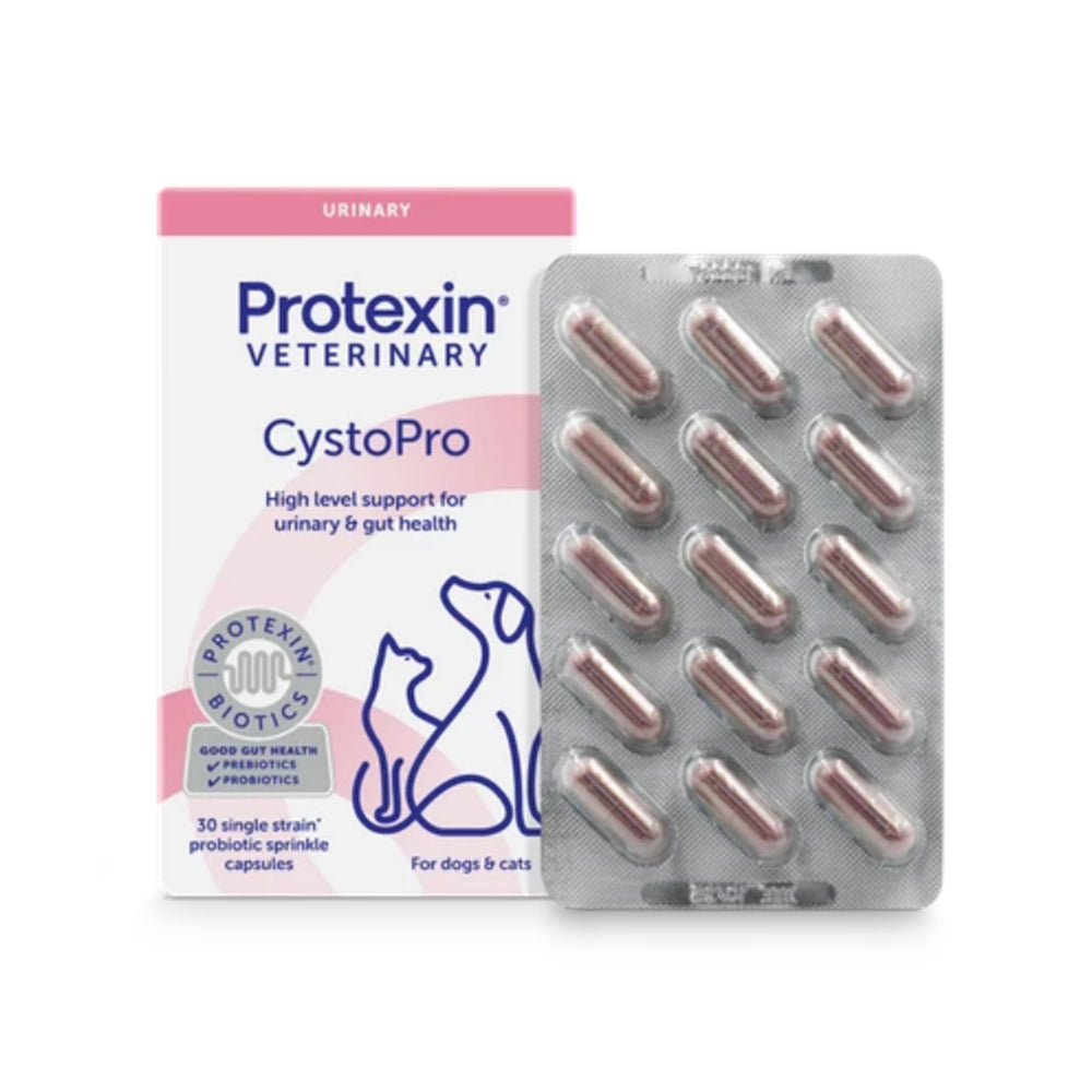 Protexin CystoPro urinary supplement box with capsule blister pack