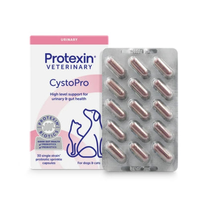 Protexin CystoPro urinary supplement box with capsule blister pack