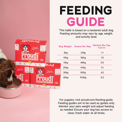 PROUDI Premium Frozen Red Combo Raw Dog Food 2.4Kg