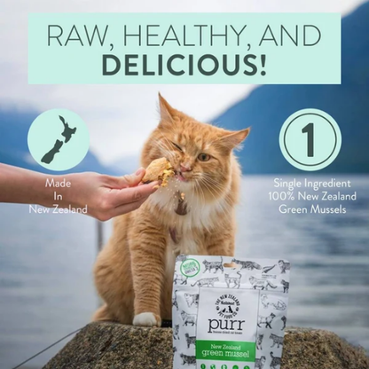 MEOW Green Lipped Mussels Freeze Dried Cat Treats 50g