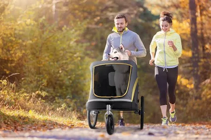 IBIYAYA The Hercules Stroller 2.0 For Up To 50kg