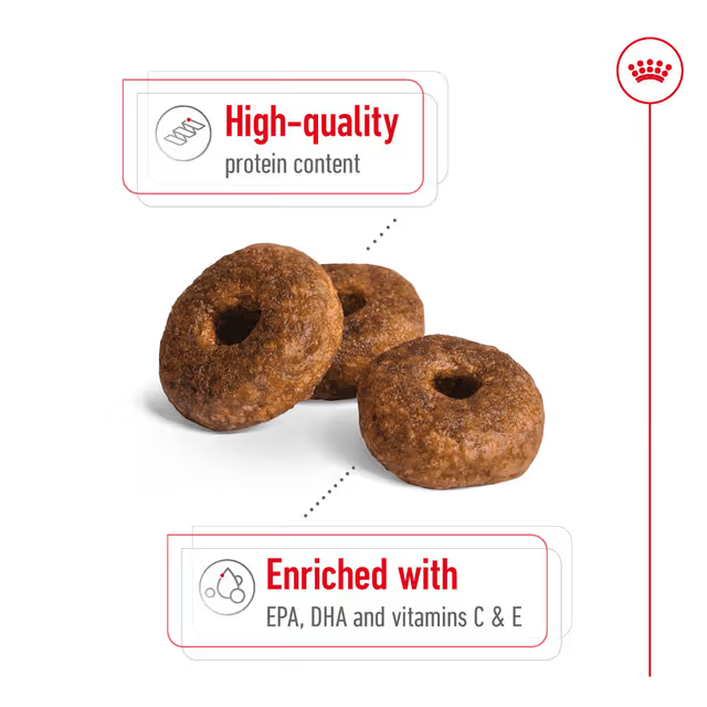 ROYAL CANIN Medium Ageing 10+ Dry Dog Food 15kg