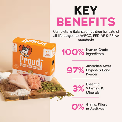 PROUDI Premium Frozen Turkey & Chicken Raw Cat Food 1.08Kg