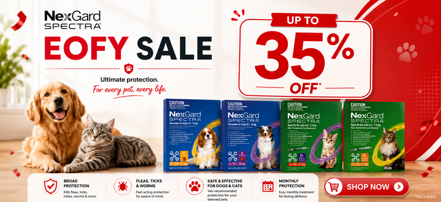 Shop the sale