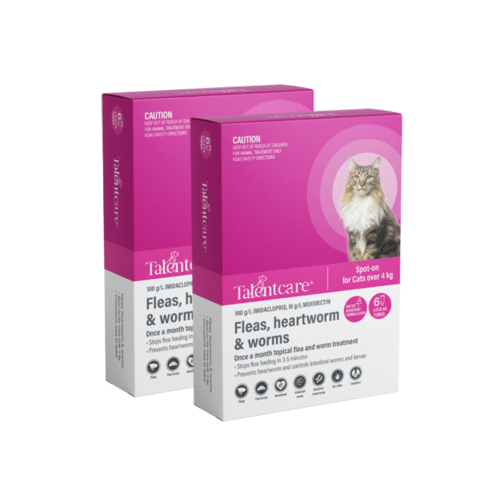 TALENTCARE Flea and Worming Spot-on for Cats over 4kg