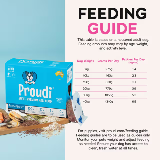 PROUDI Premium Frozen Ocean Combo & Turkey Raw Dog Food 2.4kg