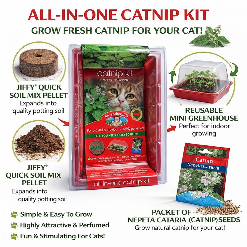 MR FOTHERGILL'S Catnip Kit