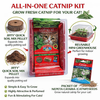 MR FOTHERGILL'S Catnip Kit