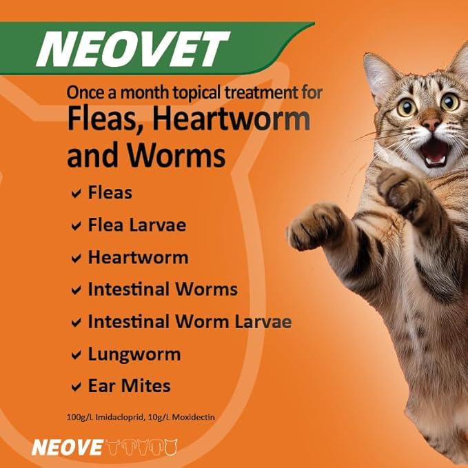 NEOVET Flea And Worming For Cats Over 4kg Purple