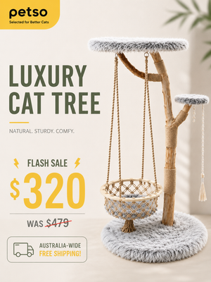 Limited Time Deals