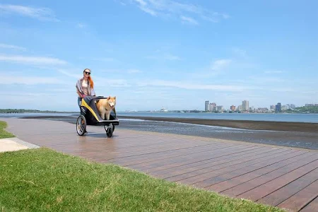IBIYAYA The Hercules Stroller 2.0 For Up To 50kg