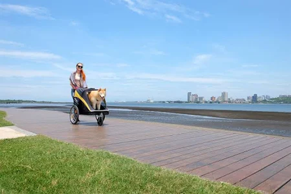 IBIYAYA The Hercules Stroller 2.0 For Up To 50kg