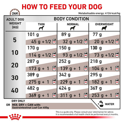 Royal Canin Gastrointestinal Adult Dry Dog Food 2kg — product information image