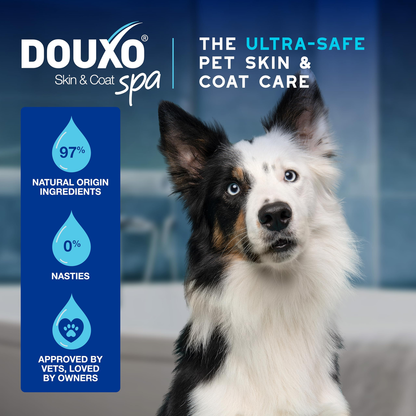 DOUXO Skin And Coat Spa Ultra Safe Dog Leave On Mousse 150ml