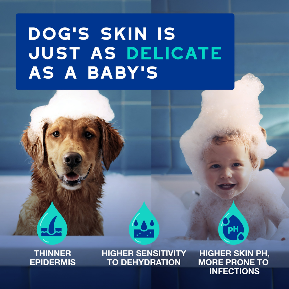 DOUXO Skin And Coat Spa Ultra Safe Odour Control Dog Shampoo 250ml