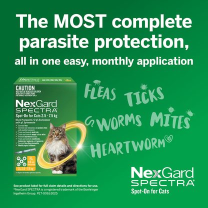 NEXGARD SPECTRA Flea, Tick & Worming Spot On For Cats 2.5-7.5kg