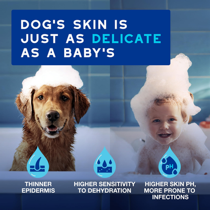 DOUXO Skin And Coat Spa Ultra Safe Dog Leave On Mousse 150ml