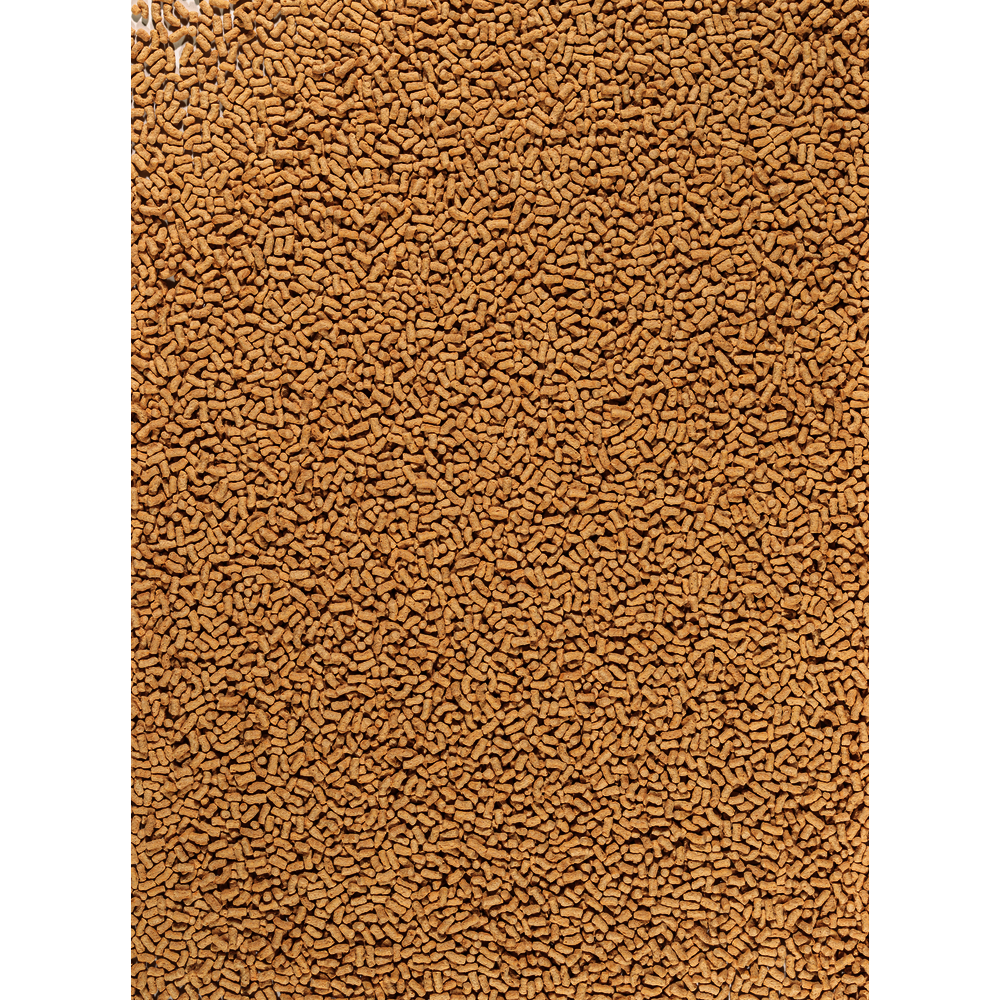 Tetra Floating Pond Sticks